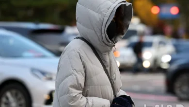 금요일 아침 영하권 추위…강풍에 체감온도 '뚝'[오늘날씨]