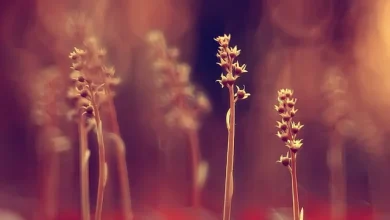 금요일(21일) 전국 대체로 맑음…대기 건조 ‘산불 유의’