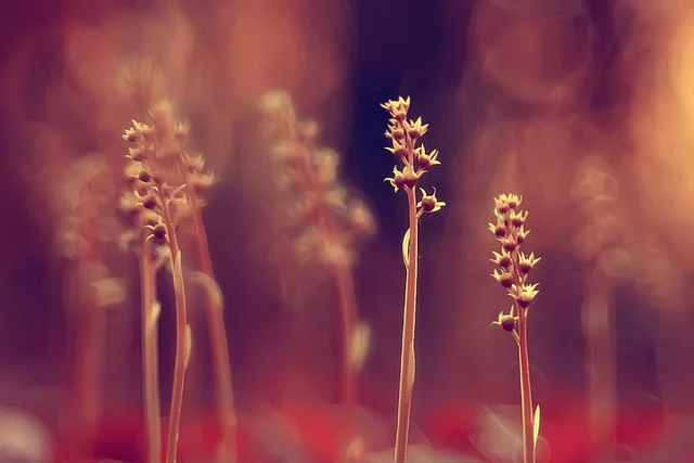 금요일(21일) 전국 대체로 맑음…대기 건조 ‘산불 유의’