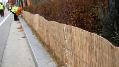 금요일도 아침 쌀쌀 낮엔 포근…일교차 15도 안팎