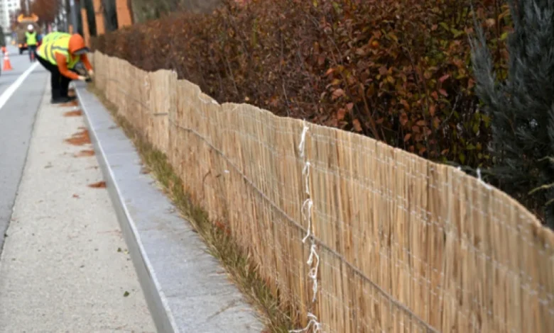 금요일도 아침 쌀쌀 낮엔 포근…일교차 15도 안팎