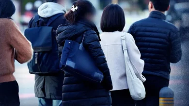 기온 뚝, 얼음에 서리까지…이번 추위 언제까지?