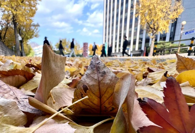 [날씨] 내일 아침 출근길 찬 바람에 두툼한 옷 필수...아침 최저 0∼11도