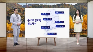 [날씨] 내일 큰 추위 없어...서울 아침 5도·부산 10도