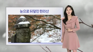 [날씨] 내일부터 평년 기온 회복…큰 일교차 유의