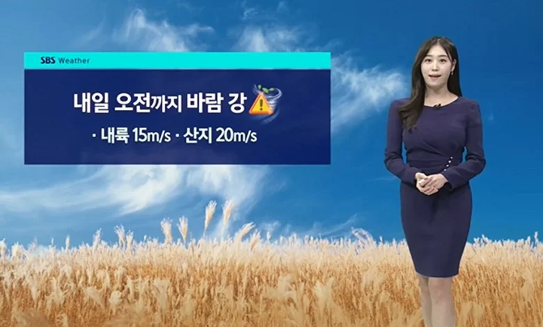 [날씨] 밤부터 찬공기 내려와…내일 출근길 반짝 추위