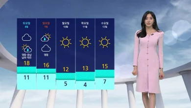 [날씨] 오늘도 따뜻한 가을 날씨…미세먼지 '주의'