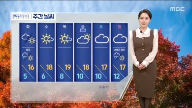 [날씨] 올가을 들어 가장 추워‥한파특보 해제