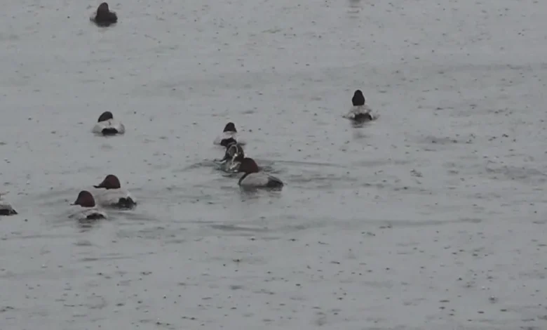 [날씨] 주말 밤사이 가을비...수능일 강추위 없지만 일교차 커