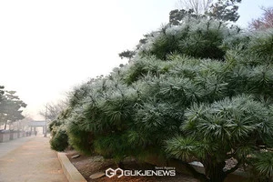[날씨] 호남권, 가시거리 200m 미만 짙은 안개→일부도로 결빙 상태