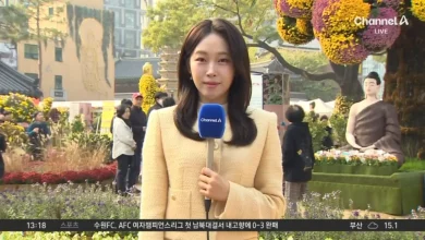 [날씨]온화한 날씨 속 가을 국화 활짝…한때 공기 탁해