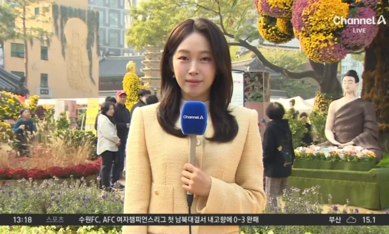 [날씨]온화한 날씨 속 가을 국화 활짝…한때 공기 탁해