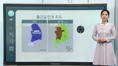 [날씨클릭] 출근길 내륙 짙은 안개 …오후부터 강원영동 비