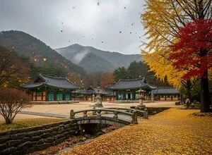 [내일(18일) 계룡산 날씨] 흐리고 추운 초겨울 흐름