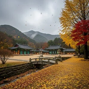 [내일(18일) 계룡산 날씨] 흐리고 추운 초겨울 흐름