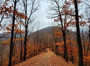 [내일(18일) 칠갑산 날씨] 흐림 중심에 추운 초겨울 기온… 산행 시 체감 더 낮아