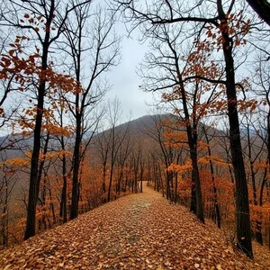 [내일(18일) 칠갑산 날씨] 흐림 중심에 추운 초겨울 기온… 산행 시 체감 더 낮아