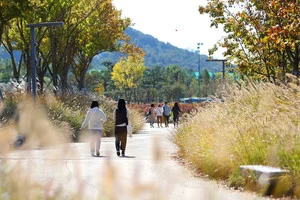 [내일날씨] 당분간 큰 추위 없어…동해안 건조특보