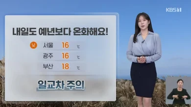 [뉴스9 날씨] 내일도 비교적 온화, 일교차 커…동해안 대기 건조