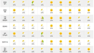 [다음주 날씨] 11월 마지막주 전국 곳곳 비·눈 소식... 기온은 평년 수준 유지-제주도 아침 13도