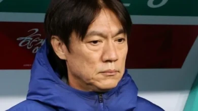 '또 매진 실패' 홍명보호... 무려 7000석 '텅' 비었다 [대전 현장]