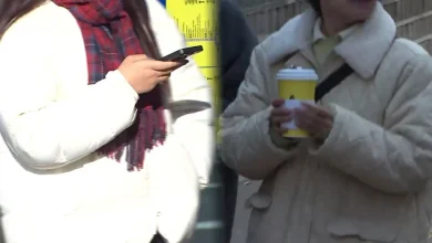 [센터웨더] 11월 첫 출근길 초겨울 추위…내륙 서리·얼음 유의