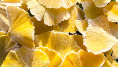 수요일(26일) 오전부터 맑아져…당분과 평년 수준 기온