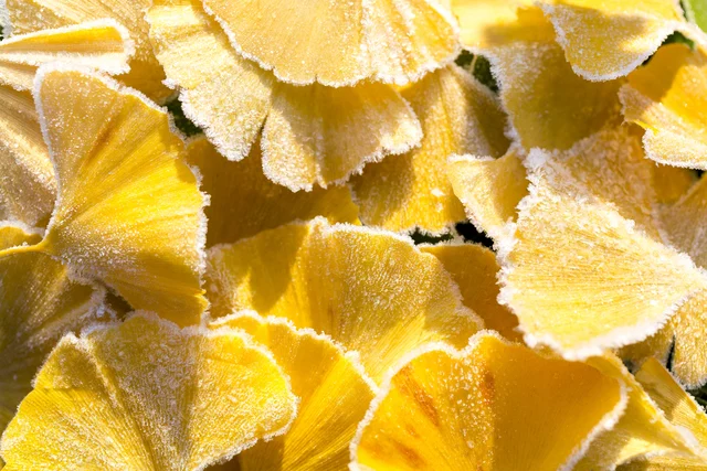 수요일(26일) 오전부터 맑아져…당분과 평년 수준 기온