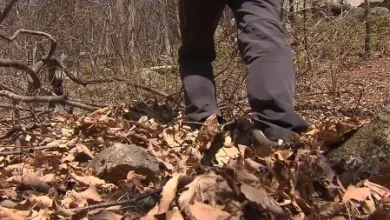 오늘 늦가을 날씨 회복...동해안 산불 유의