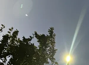 [오늘날씨] 훈훈한 늦가을이 저물어가고, 오후부터 냉랭한 기운 들어차