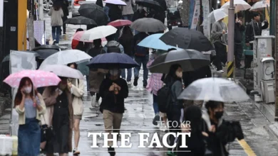 [오늘의 날씨] 가을비 내리는 11월 첫 주말…평년보다 따뜻