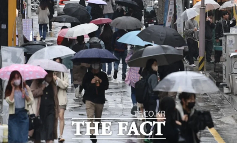 [오늘의 날씨] 가을비 내리는 11월 첫 주말…평년보다 따뜻