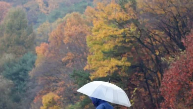 [오늘의 날씨] 천둥·번개 동반 비바람 '주의'