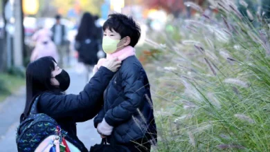 월요일 '반짝 추위'…대전 아침 6도, 체감온도 더 낮아