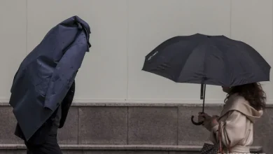 인천, 포근한 늦가을 날씨…돌풍 동반 황사비 주의