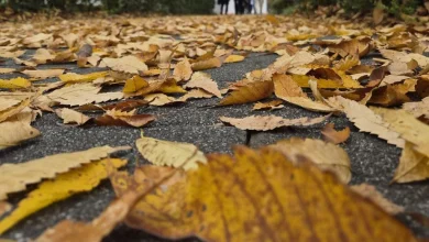 전국 대부분 지역에서 강한 바람…낮 최고 10~16도 [오늘날씨]