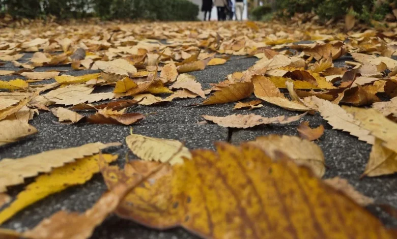 전국 대부분 지역에서 강한 바람…낮 최고 10~16도 [오늘날씨]