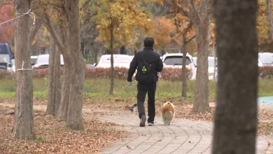 "주말까지 큰 추위 없어요"...광주 낮 최고기온 13도