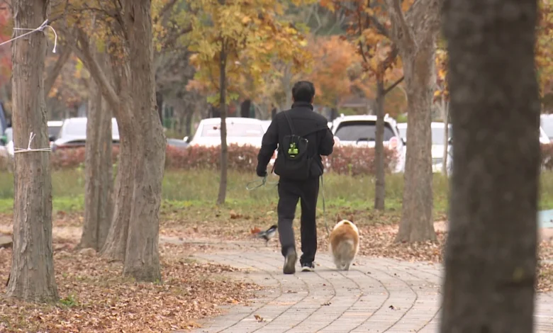 "주말까지 큰 추위 없어요"...광주 낮 최고기온 13도