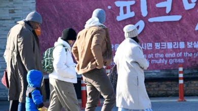 주말까지 포근·맑음…24~27일 찬 공기 남하에 비·눈