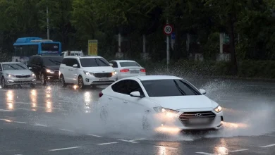 천둥·번개·비, 늦은 오후까지… 강풍 피해 우려