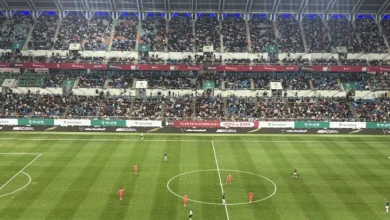 캡틴 손흥민과 조규성의 합작…한국 대표팀 볼리비아에 2-0 승리