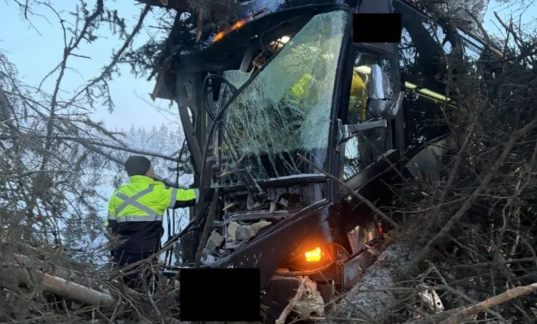 Hockey team bus crashes in northern Alberta, two sent to hospital