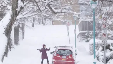 1st major winter snowstorm set to hit Nova Scotia, New Brunswick this week