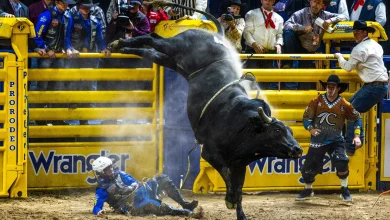 2025 NFR Las Vegas 9th go-round results | National Finals Rodeo | Sports | Rodeo