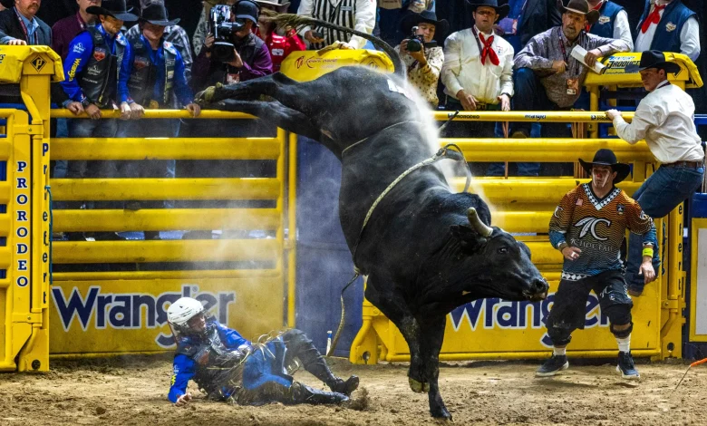 2025 NFR Las Vegas 9th go-round results | National Finals Rodeo | Sports | Rodeo