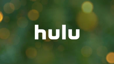 3 new to Hulu movies in December to watch now with 90% or higher on Rotten Tomatoes