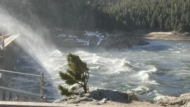 47,000 Boulder County customers without power amid planned shutoff, 100 mph wind gusts