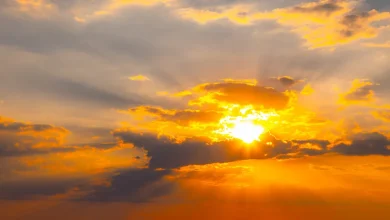 50°C temperature range in Australia's first week of summer