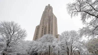 8 Pitt undergraduates earned Gilman Scholarships